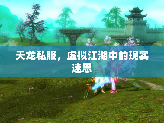 天龙私服，虚拟江湖中的现实迷思