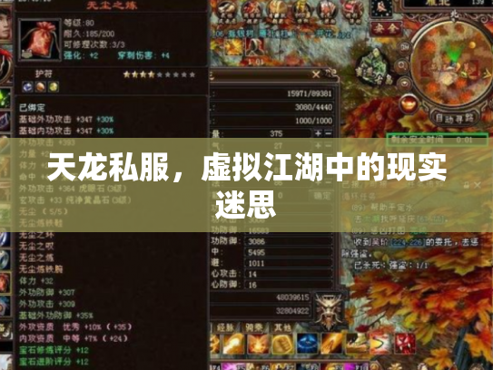 天龙私服，虚拟江湖中的现实迷思