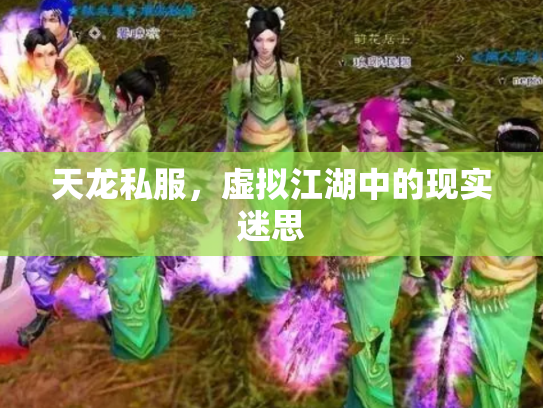 天龙私服，虚拟江湖中的现实迷思