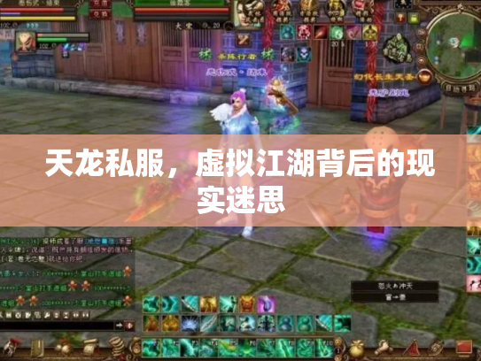 天龙私服，虚拟江湖背后的现实迷思