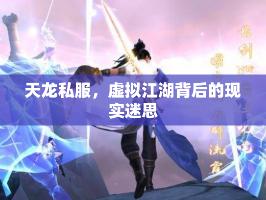 天龙私服，虚拟江湖背后的现实迷思