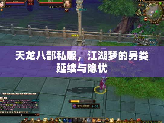 天龙八部私服，江湖梦的另类延续与隐忧