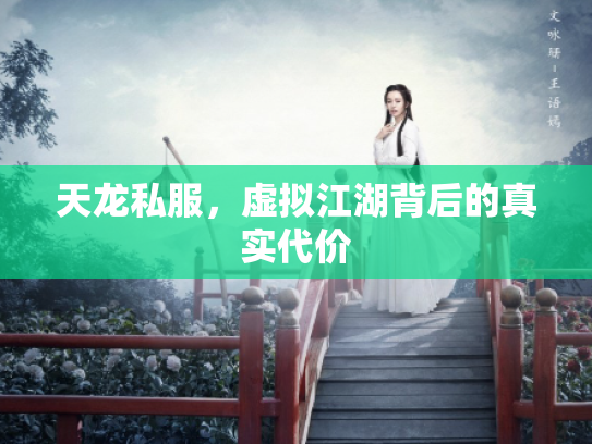 天龙私服，虚拟江湖背后的真实代价