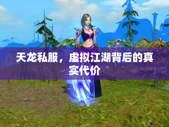 天龙私服，虚拟江湖背后的真实代价