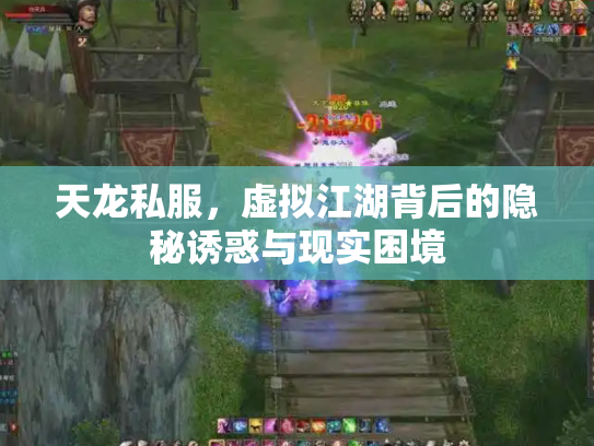 天龙私服，虚拟江湖背后的隐秘诱惑与现实困境