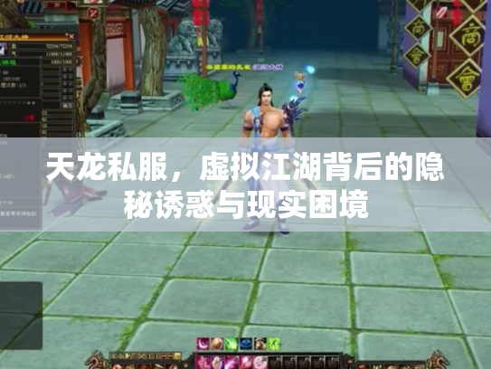 天龙私服，虚拟江湖背后的隐秘诱惑与现实困境