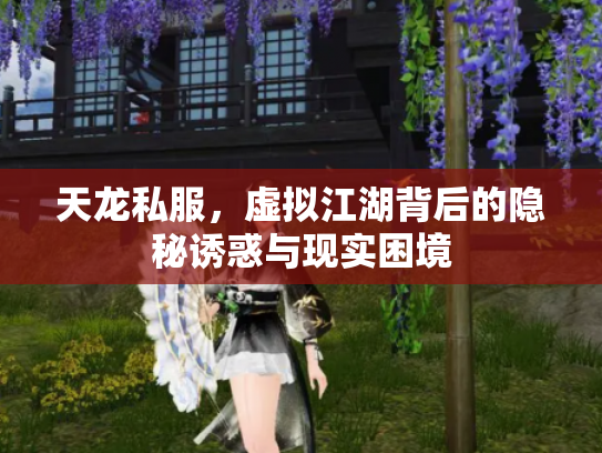 天龙私服，虚拟江湖背后的隐秘诱惑与现实困境