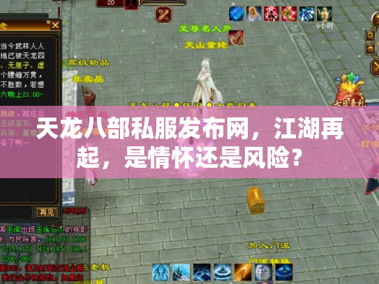 天龙八部私服发布网，江湖再起，是情怀还是风险？