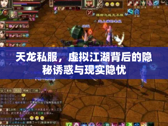 天龙私服，虚拟江湖背后的隐秘诱惑与现实隐忧