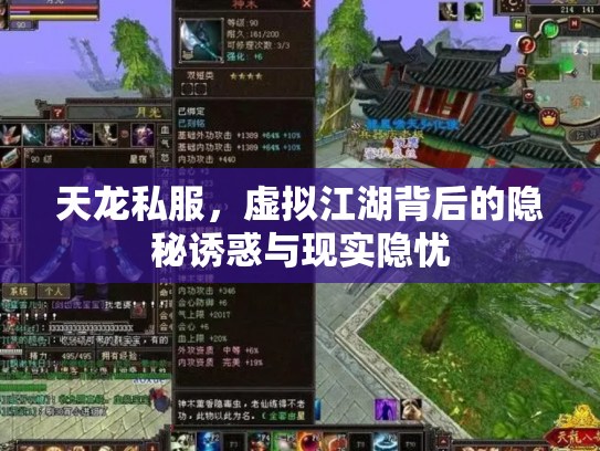 天龙私服，虚拟江湖背后的隐秘诱惑与现实隐忧