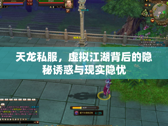 天龙私服，虚拟江湖背后的隐秘诱惑与现实隐忧