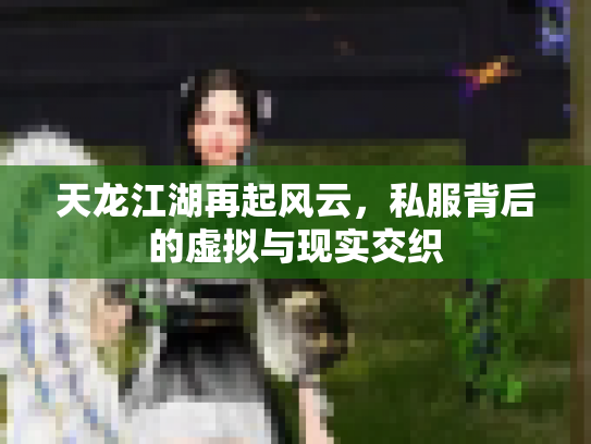 天龙江湖再起风云，私服背后的虚拟与现实交织