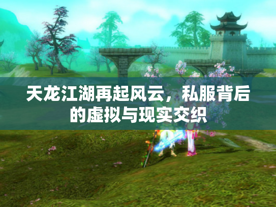 天龙江湖再起风云，私服背后的虚拟与现实交织