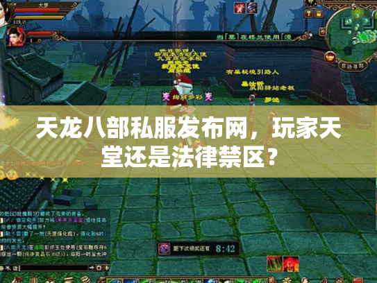 天龙八部私服发布网，玩家天堂还是法律禁区？