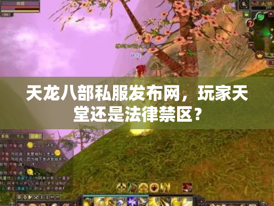 天龙八部私服发布网，玩家天堂还是法律禁区？