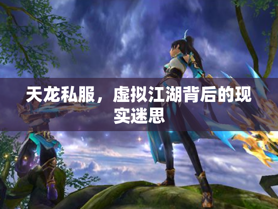天龙私服，虚拟江湖背后的现实迷思