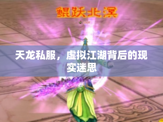 天龙私服，虚拟江湖背后的现实迷思
