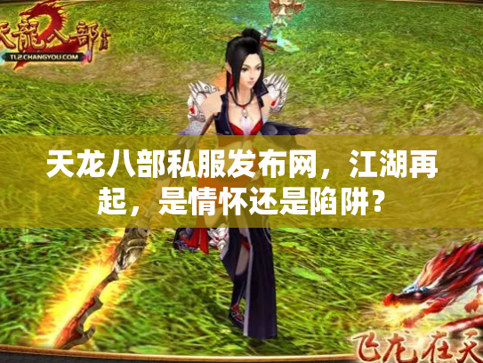 天龙八部私服发布网，江湖再起，是情怀还是陷阱？