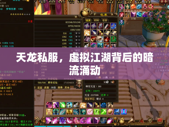 天龙私服，虚拟江湖背后的暗流涌动