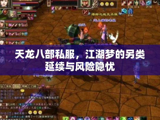 天龙八部私服，江湖梦的另类延续与风险隐忧