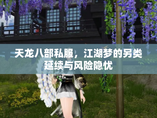 天龙八部私服，江湖梦的另类延续与风险隐忧