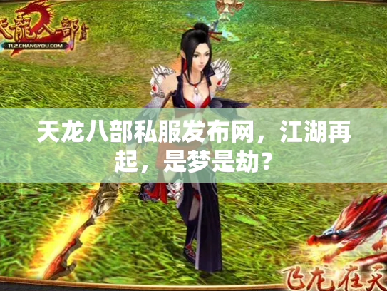 天龙八部私服发布网，江湖再起，是梦是劫？
