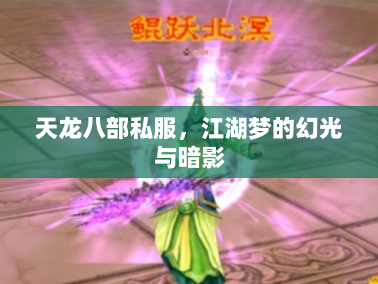 天龙八部私服，江湖梦的幻光与暗影