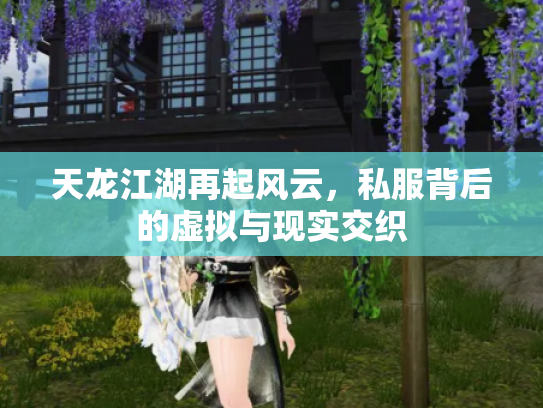 天龙江湖再起风云，私服背后的虚拟与现实交织