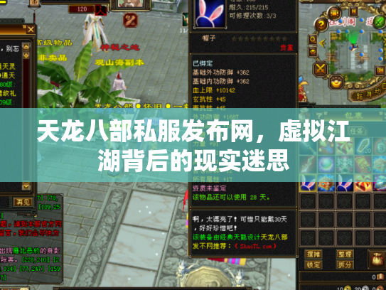 天龙八部私服发布网，虚拟江湖背后的现实迷思