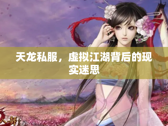天龙私服，虚拟江湖背后的现实迷思