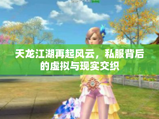 天龙江湖再起风云，私服背后的虚拟与现实交织