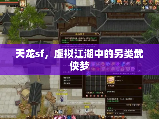 天龙sf，虚拟江湖中的另类武侠梦