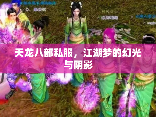 天龙八部私服，江湖梦的幻光与阴影