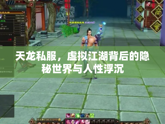 天龙私服，虚拟江湖背后的隐秘世界与人性浮沉