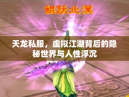 天龙私服，虚拟江湖背后的隐秘世界与人性浮沉