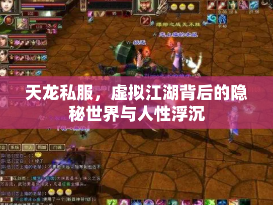 天龙私服，虚拟江湖背后的隐秘世界与人性浮沉