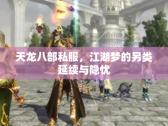 天龙八部私服，江湖梦的另类延续与隐忧