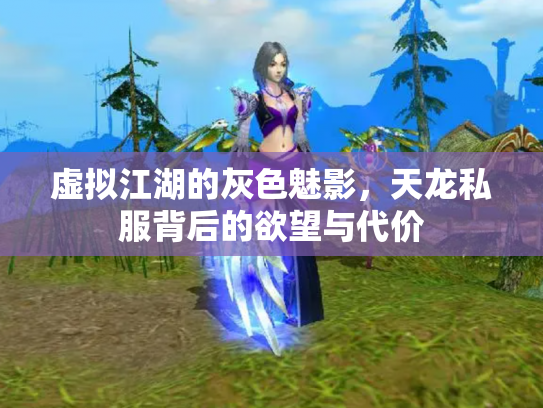 虚拟江湖的灰色魅影，天龙私服背后的欲望与代价