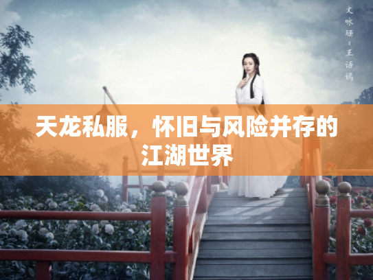 天龙私服，怀旧与风险并存的江湖世界