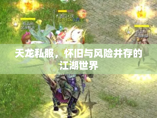 天龙私服，怀旧与风险并存的江湖世界