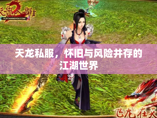 天龙私服，怀旧与风险并存的江湖世界