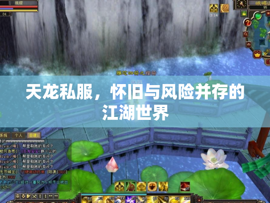 天龙私服，怀旧与风险并存的江湖世界