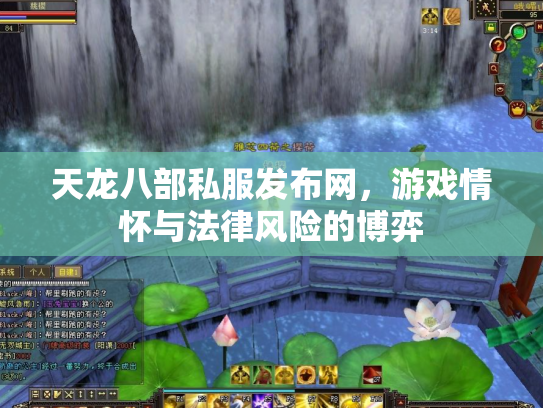 天龙八部私服发布网，游戏情怀与法律风险的博弈