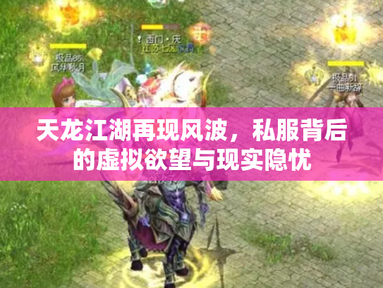 天龙江湖再现风波，私服背后的虚拟欲望与现实隐忧