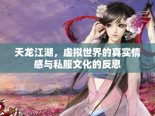 天龙江湖，虚拟世界的真实情感与私服文化的反思