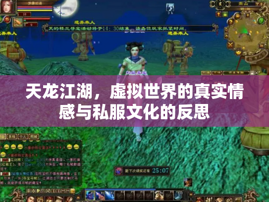 天龙江湖，虚拟世界的真实情感与私服文化的反思