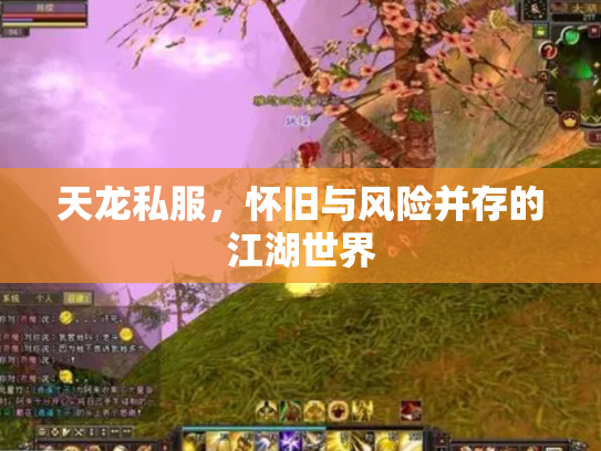 天龙私服，怀旧与风险并存的江湖世界