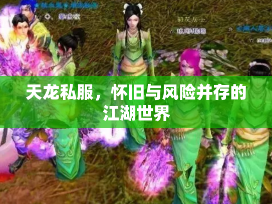 天龙私服，怀旧与风险并存的江湖世界