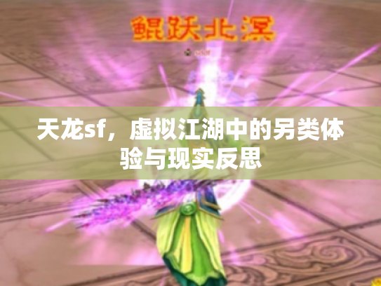 天龙sf，虚拟江湖中的另类体验与现实反思