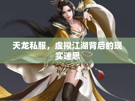 天龙私服，虚拟江湖背后的现实迷思